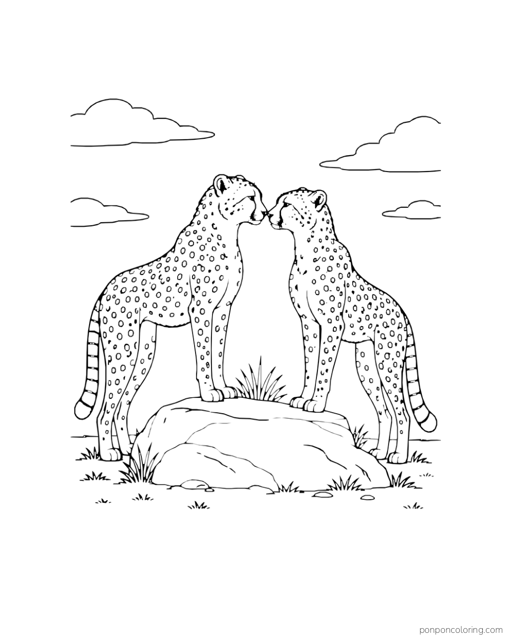 Two cheetahs touch noses above a broad flat rock.