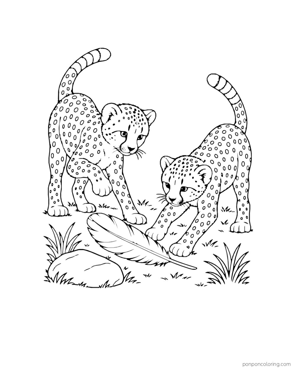 Two cheetah cubs reach toward a large fallen feather among grass.