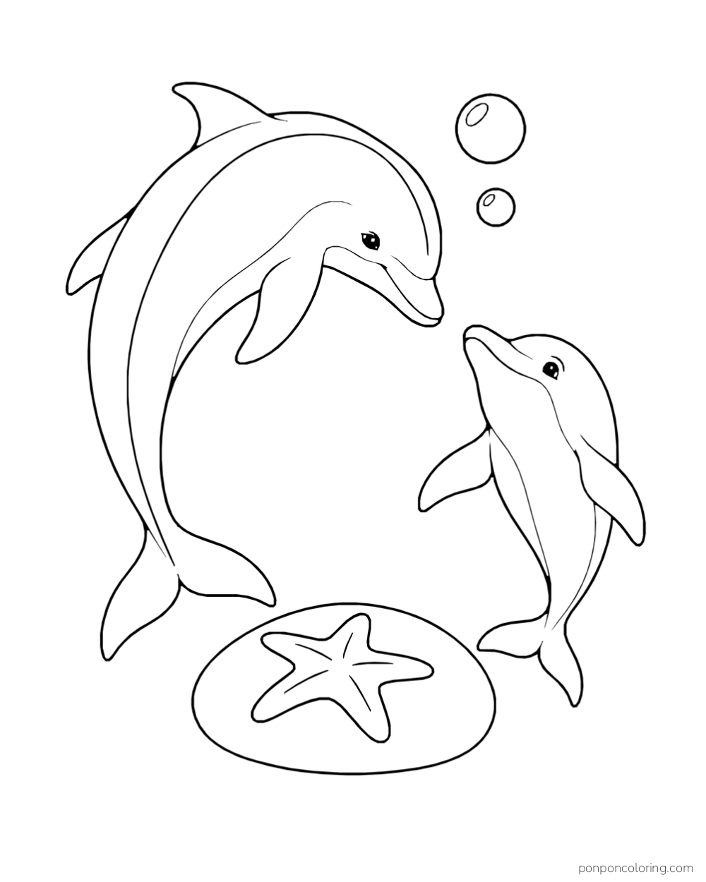 A large dolphin and a smaller dolphin face each other above an oval stone with a sea star and two bubbles.
