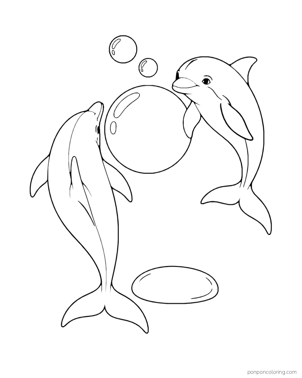 Two dolphins face a large round bubble from different angles, with two smaller bubbles above and an oval stone below.