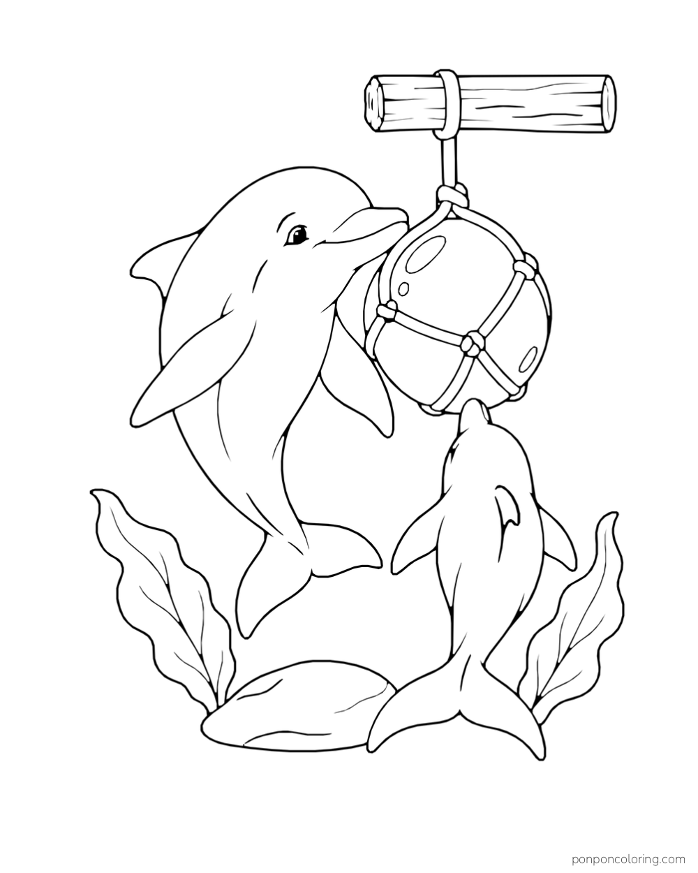 A large dolphin touches a round hanging buoy while a smaller dolphin looks up below, with two broad sea leaves and a rock.