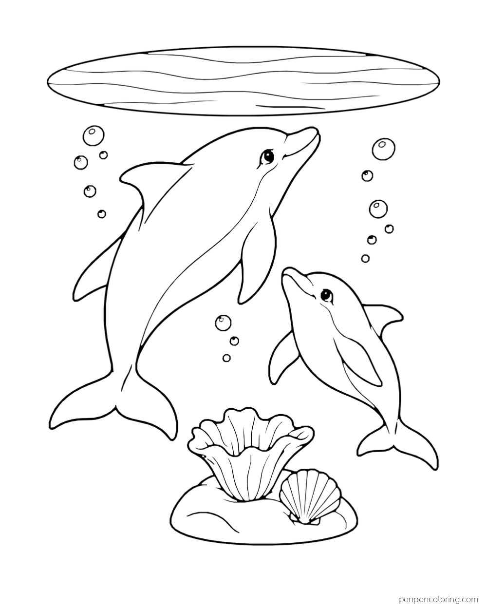 A large dolphin and a smaller dolphin swim beneath a broad surface oval above a cup-shaped sea plant and scallop shell.
