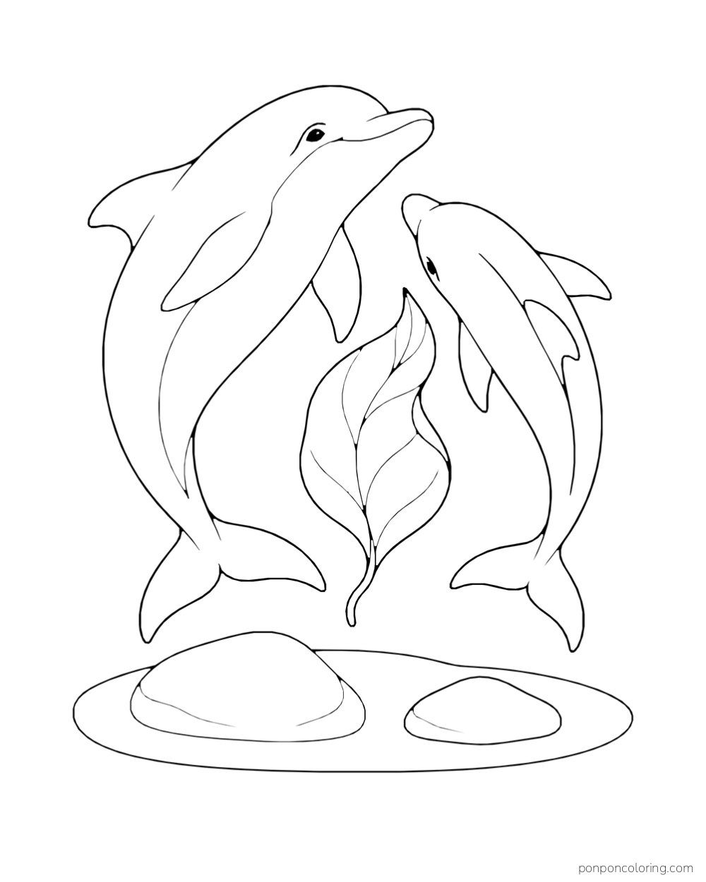 A large dolphin and a smaller dolphin curve toward each other beside a tall sea leaf above two rounded rocks.