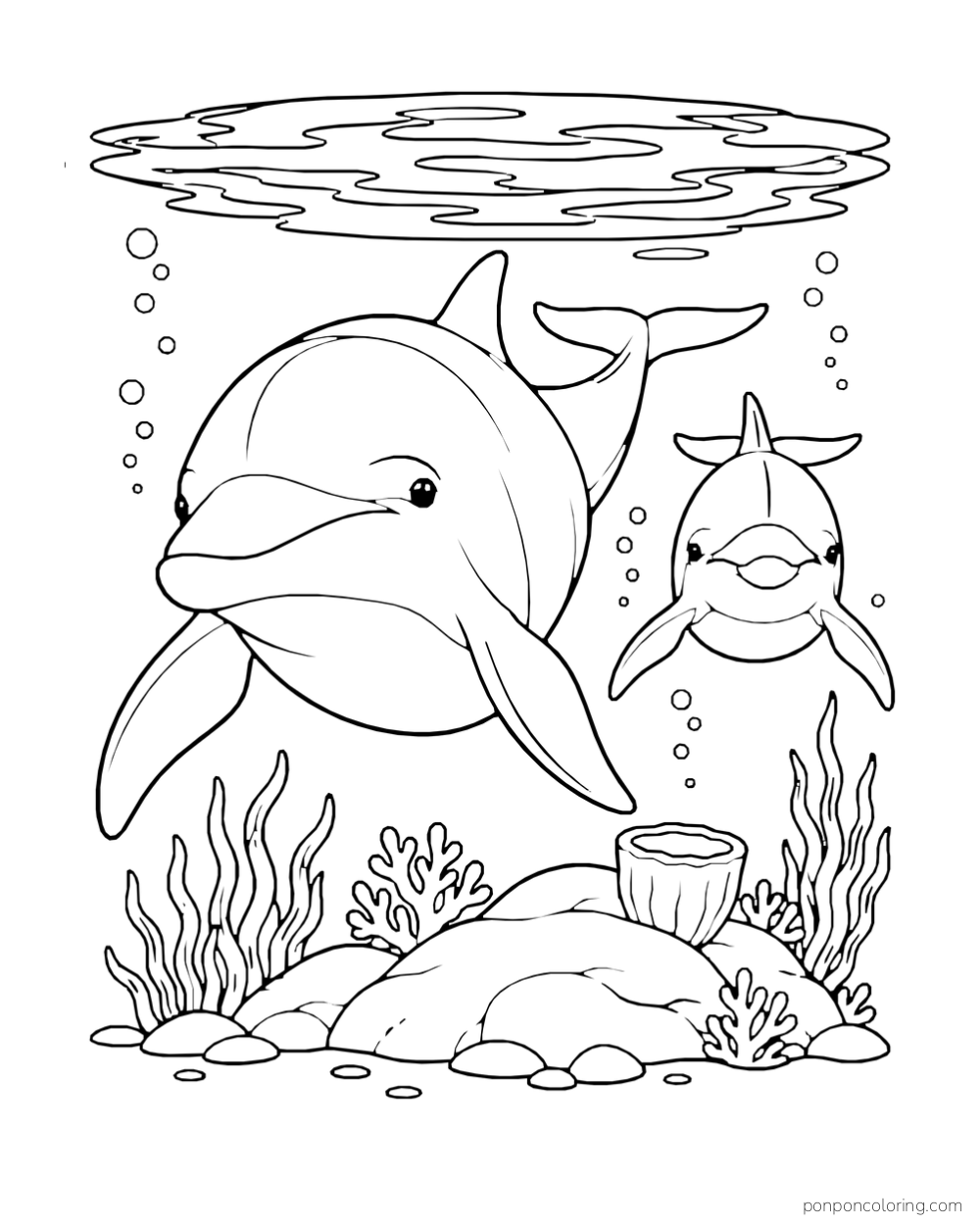 A larger dolphin and a smaller dolphin swim toward the viewer below a surface oval and above a rocky coral patch.
