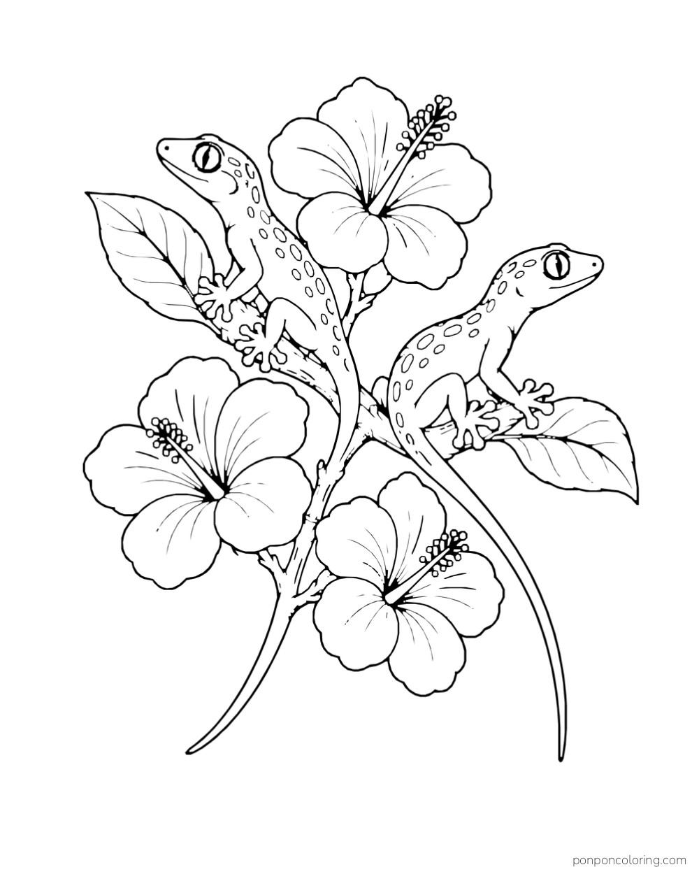 Two geckos rest on opposite sides of a flowering branch with three large blossoms.