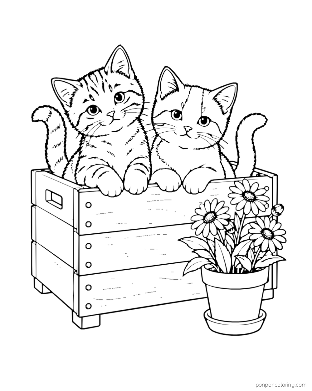 Two kittens sit in a wooden crate beside a pot of daisies.