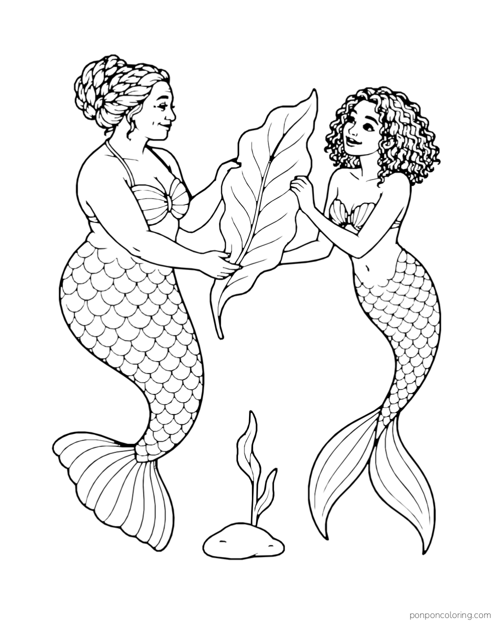 An older mermaid with a braided updo and a younger mermaid with curly hair hold a broad kelp leaf between them above a small rock.