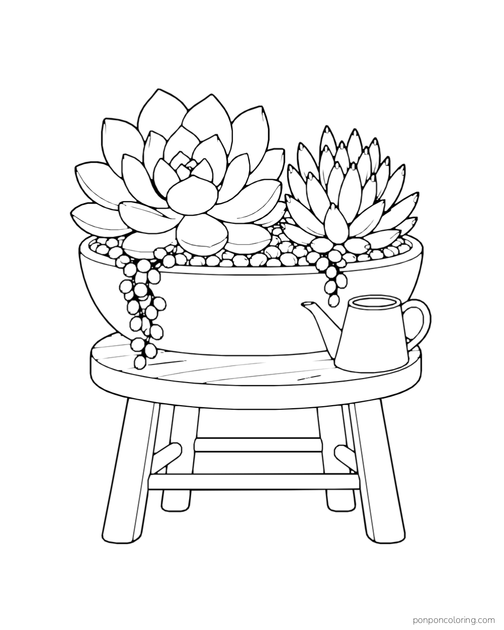 Two differently sized succulent rosettes in a broad trough on a complete stool beside a watering cup.