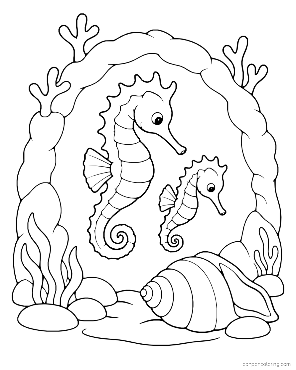 Two seahorses inside a rounded coral arch above rocks and a large spiral shell.