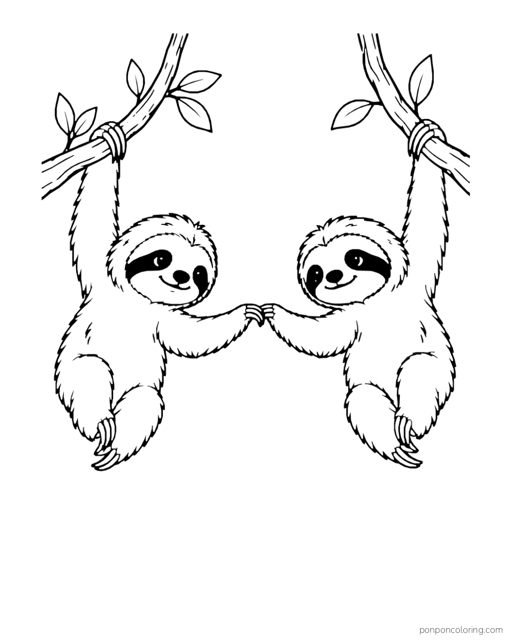Two sloths hanging from separate branches and touching paws between them.