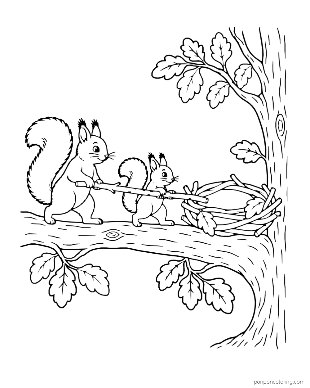 Two squirrels carry a long twig along a branch toward a nest of broad twigs.