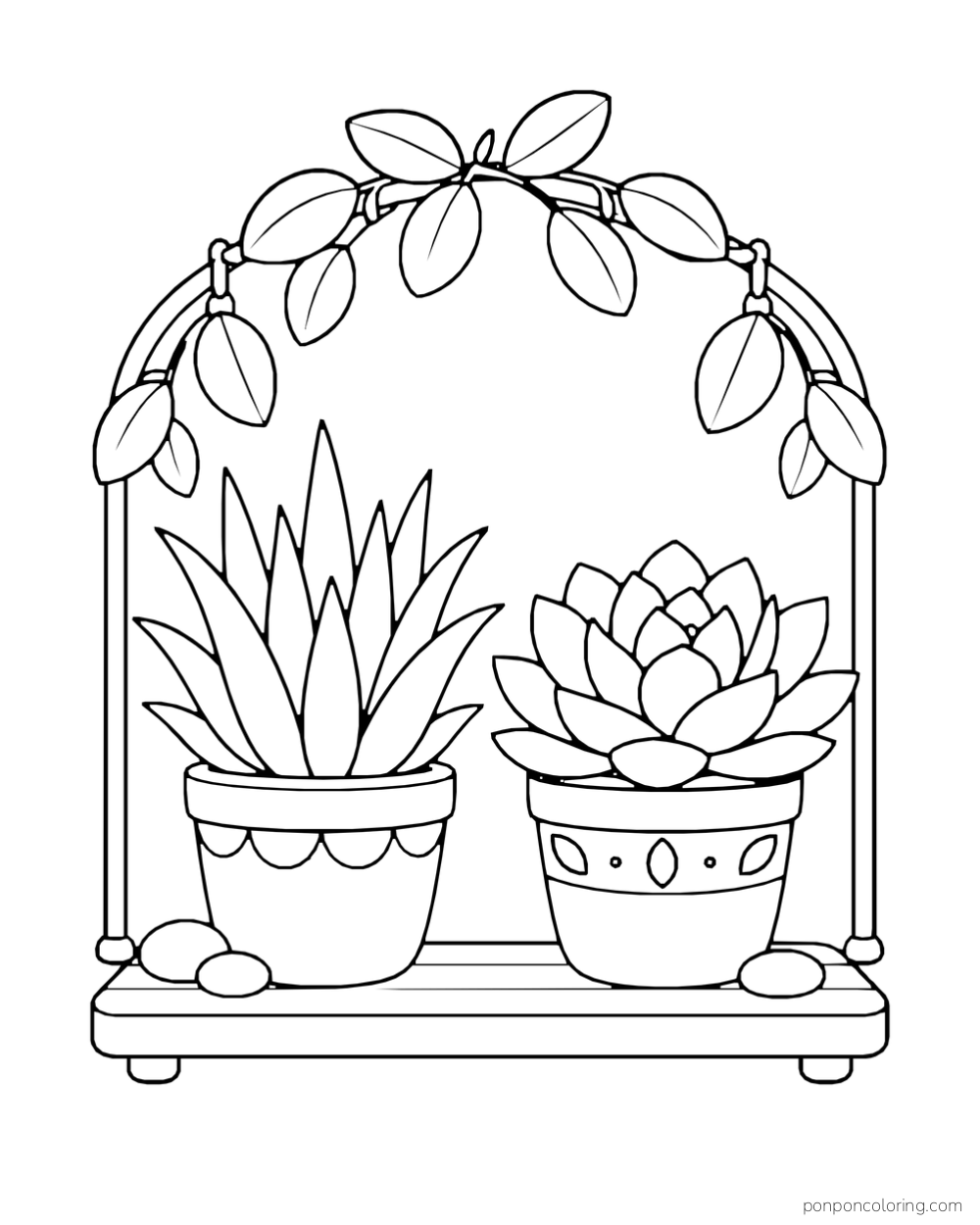 Two complete pots with upright pointed leaves and a layered rosette beneath an arch of oval leaves.