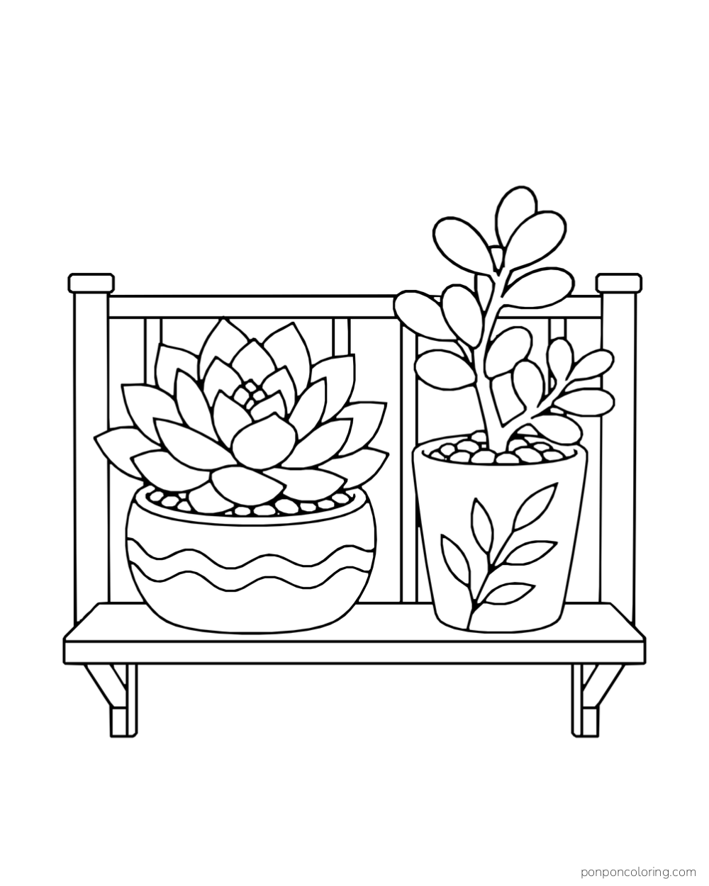 Two pots on a complete balcony shelf holding a layered rosette and upright oval-leaf succulent.