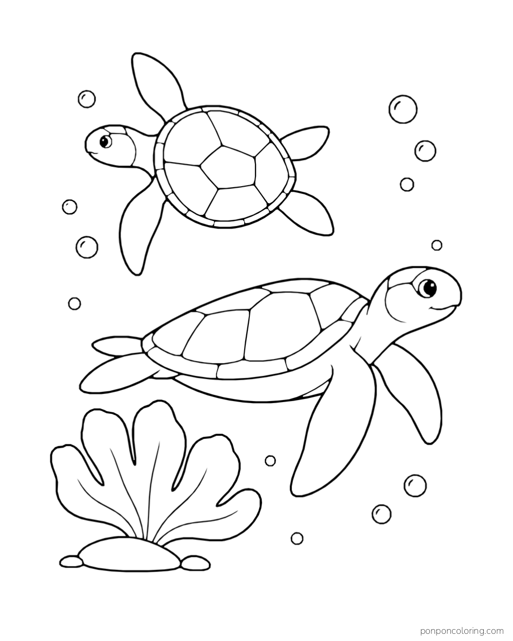 Two sea turtles swim in different directions near a broad sea fan.