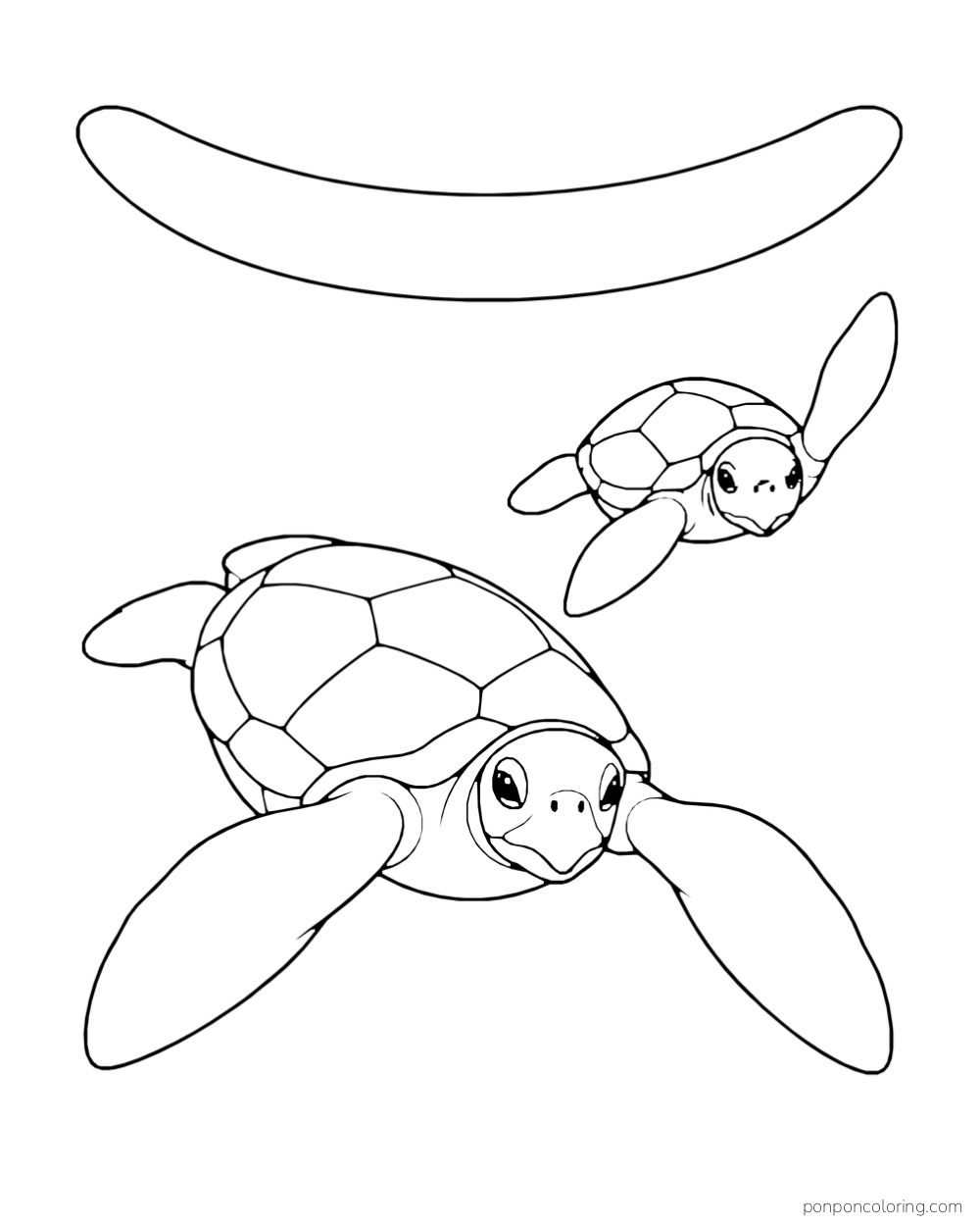 A large sea turtle and a smaller one swim toward the viewer below a curved band.