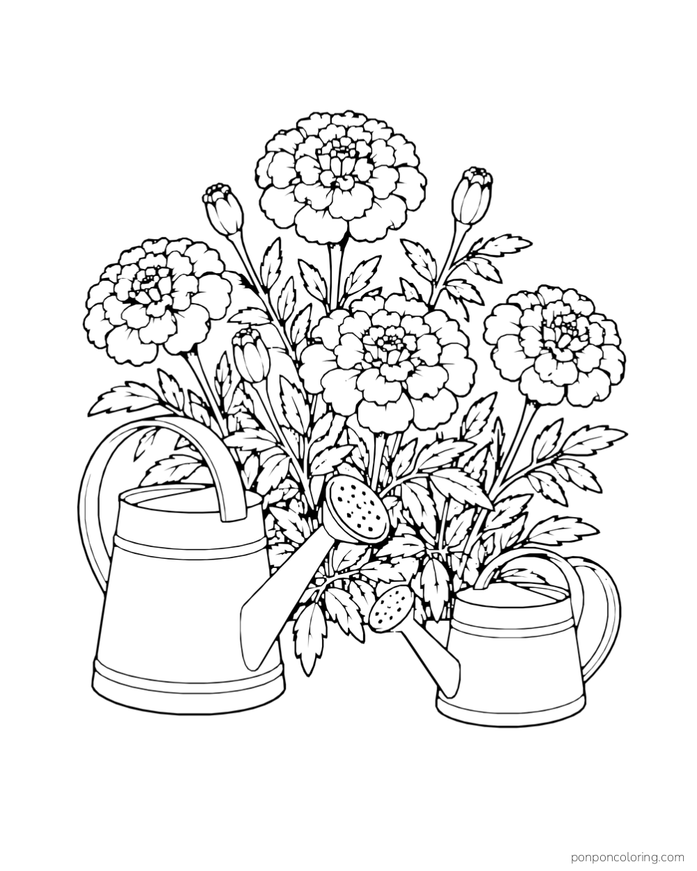 Two watering cans hold marigold flowers, buds, and leafy stems.