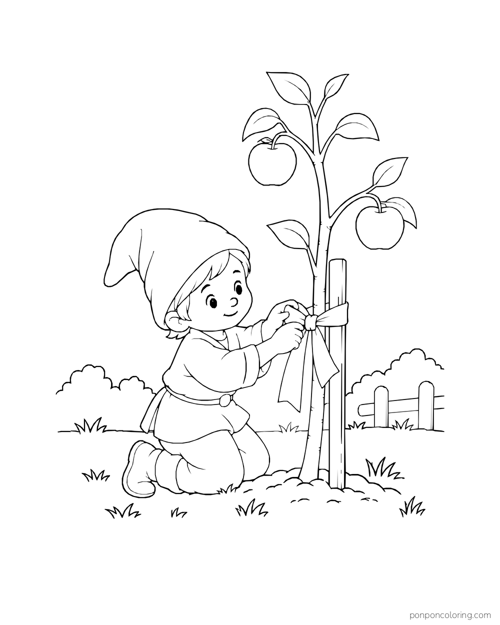Gnome tying a young apple tree to a support stake, with two apples among its leaves.