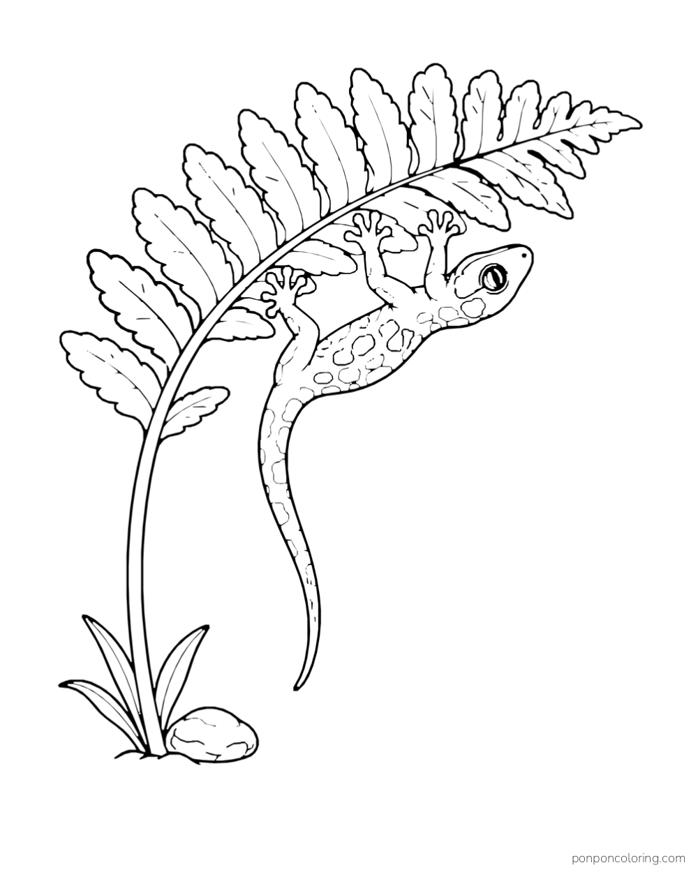 A gecko clings to the underside of a broad fern frond with its long tail hanging below.