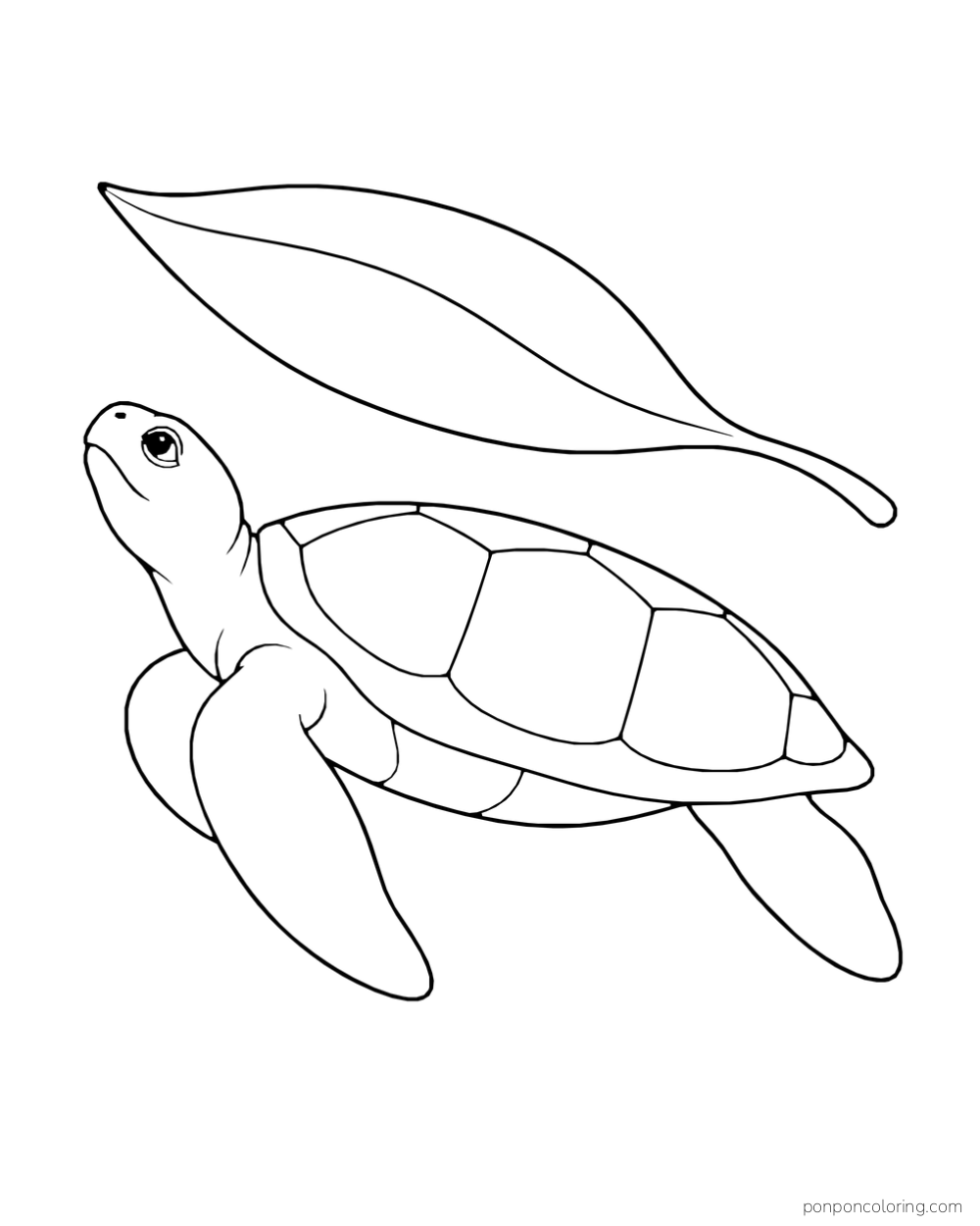 A sea turtle looks up toward a long pointed leaf floating above it.