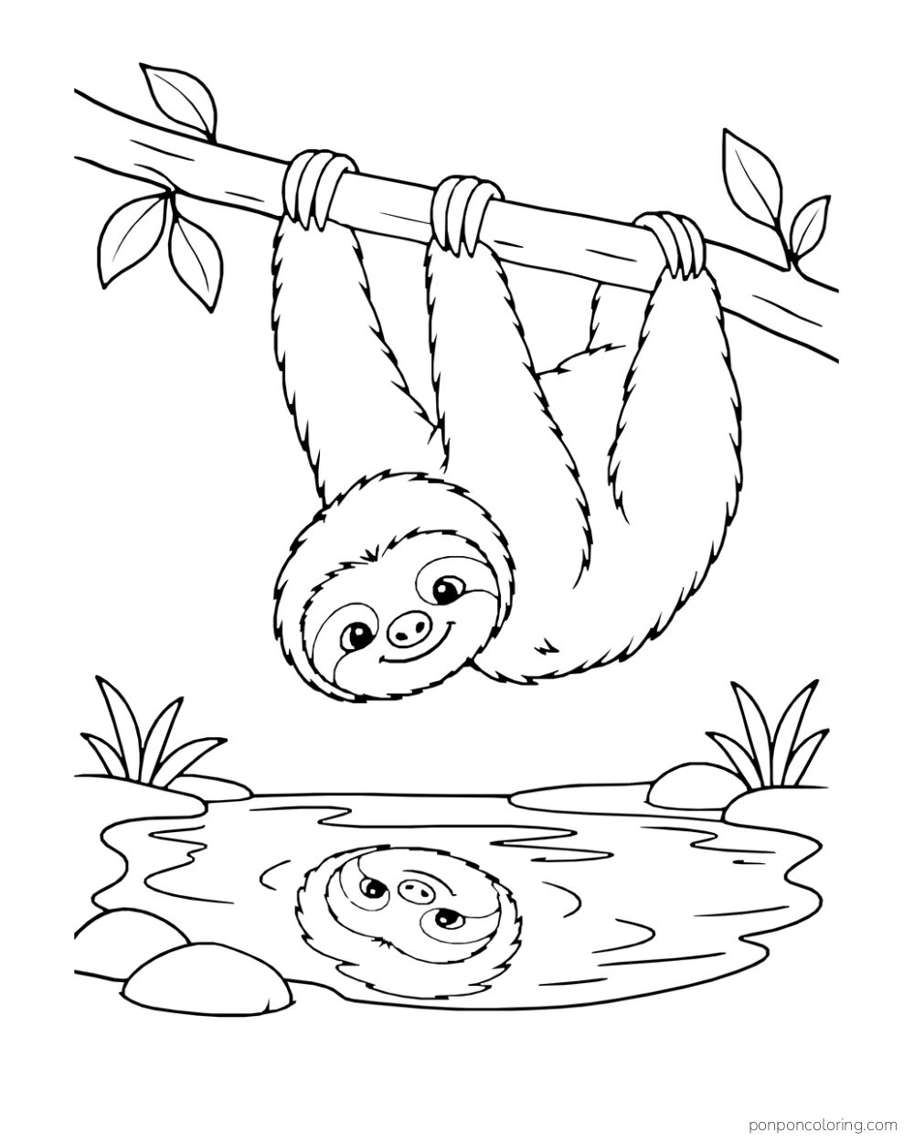 Upside-down sloth hanging over a small pond with its face reflected in the water.