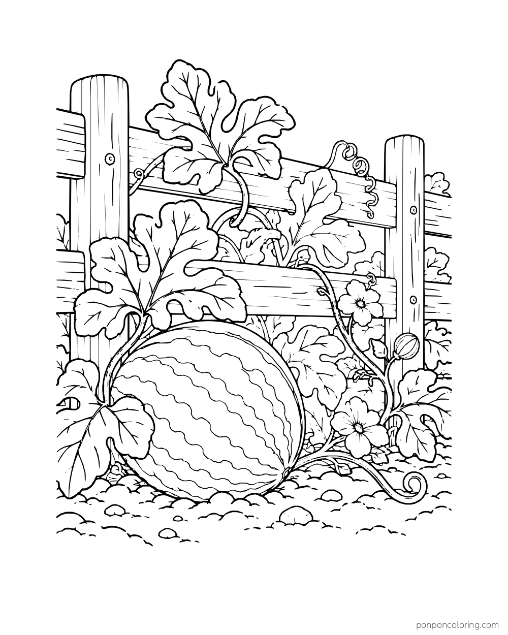 A striped watermelon beneath leafy vines and flowers climbing a wooden fence.