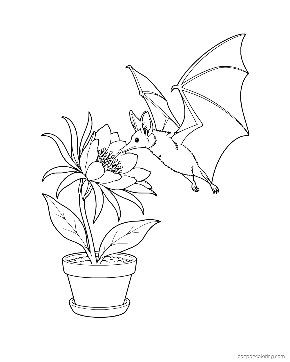 A long-muzzled bat hovers beside a potted night flower with broad leaves.