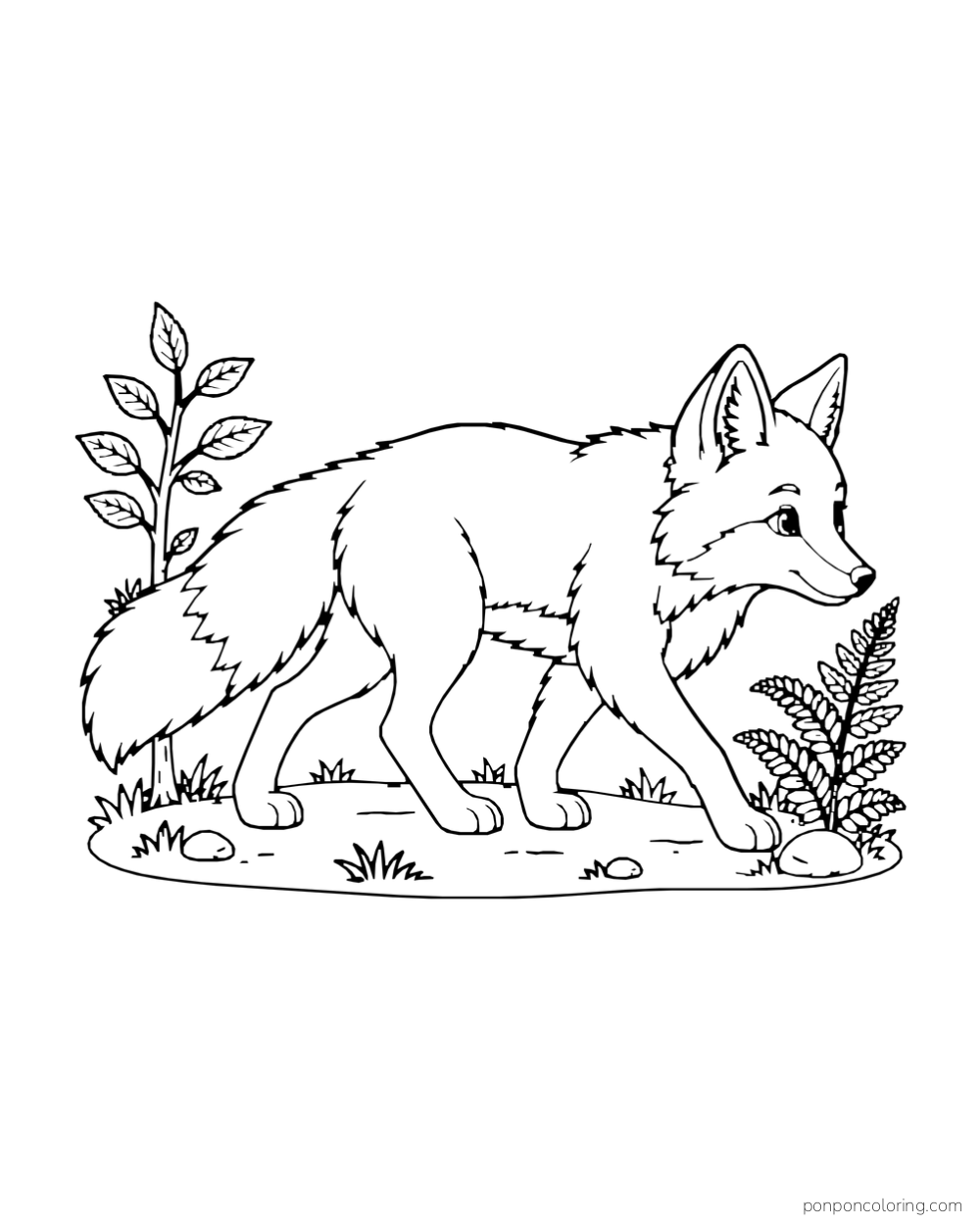 A fox walks on four paws along a short path between a leafy sprig and a fern.