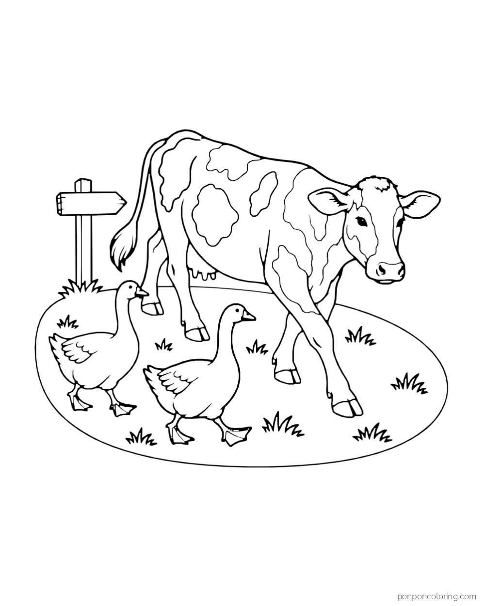 A cow walks on a grassy hill with two geese and a direction sign.