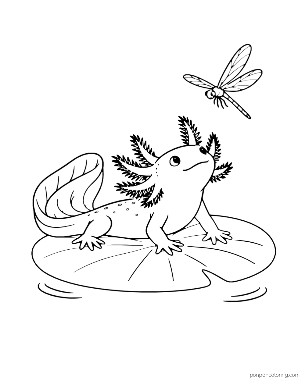 Axolotl on a lily pad looking up toward a dragonfly above the water.