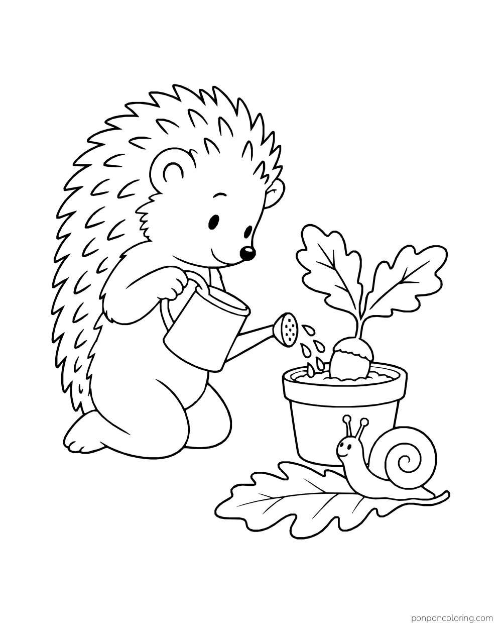 A hedgehog waters a potted acorn sprout while a snail rests on an oak leaf beside the pot.