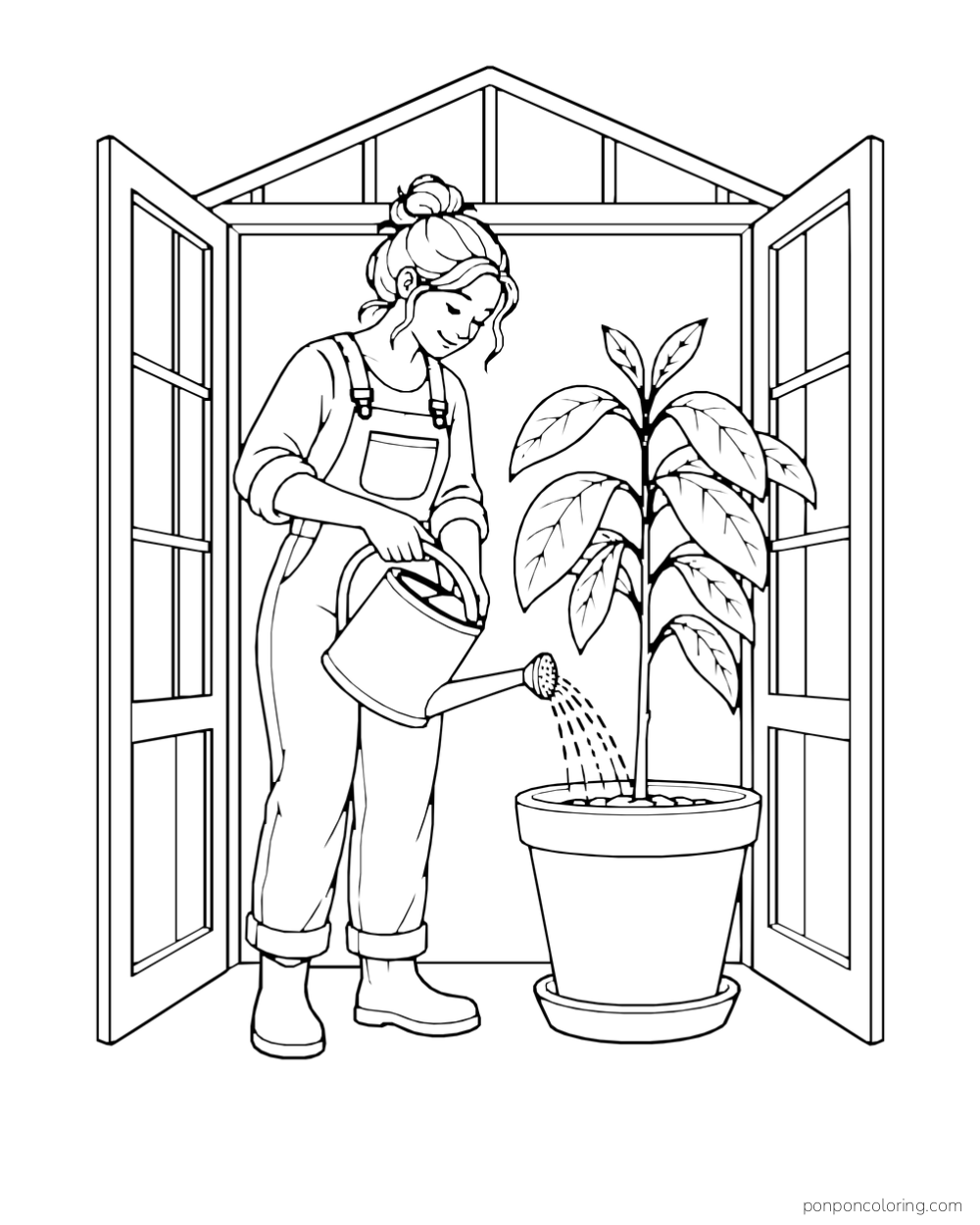 An adult gardener waters an avocado sapling inside a greenhouse doorway.