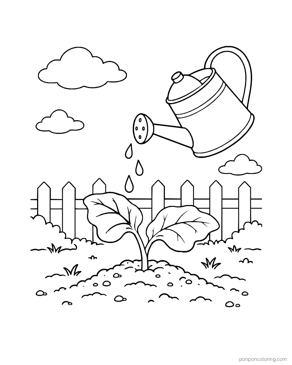 A watering can dropping water onto a two-leaf melon seedling in front of a picket fence.