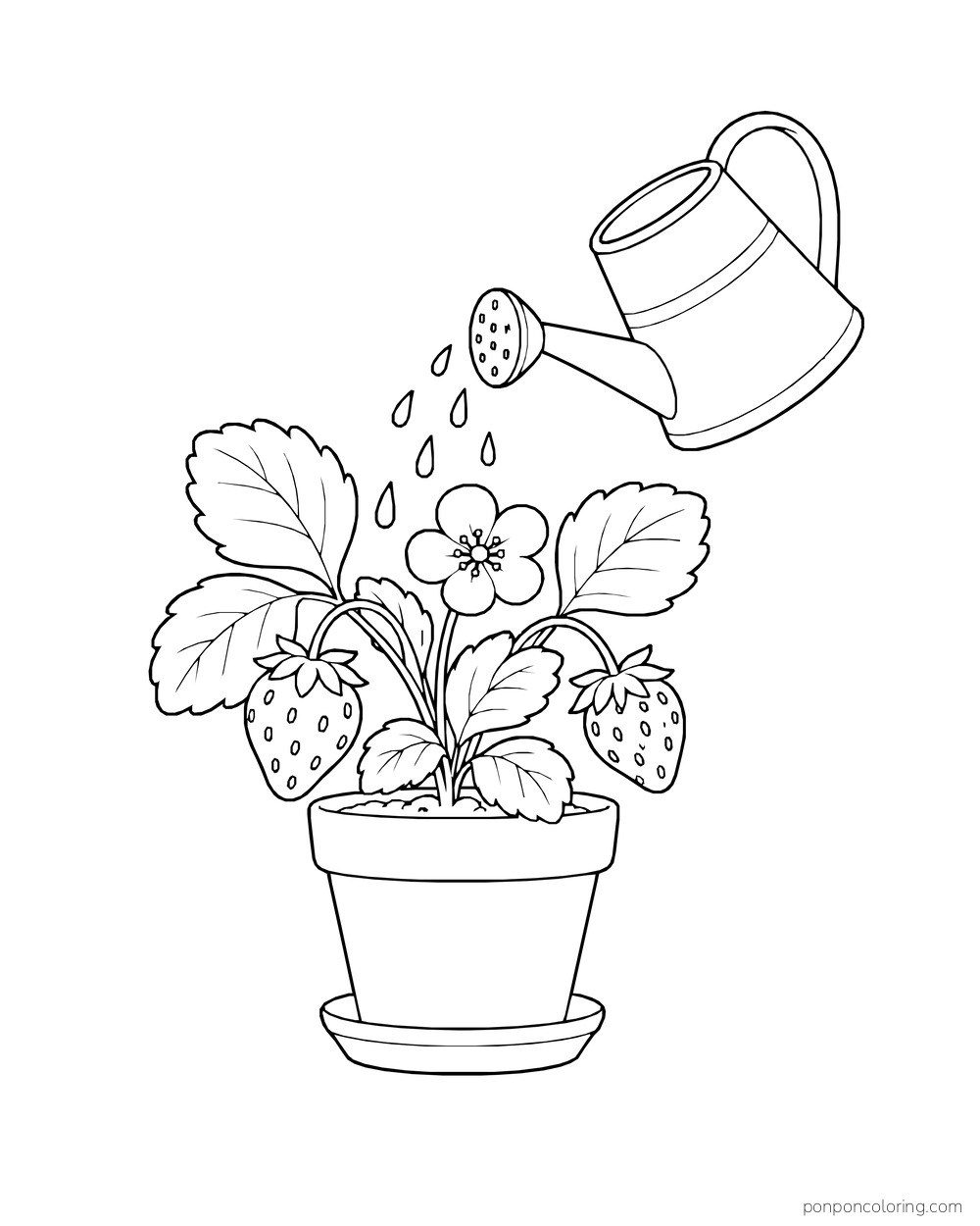 A tilted watering can sprinkles a potted strawberry plant with blossoms and hanging fruit.