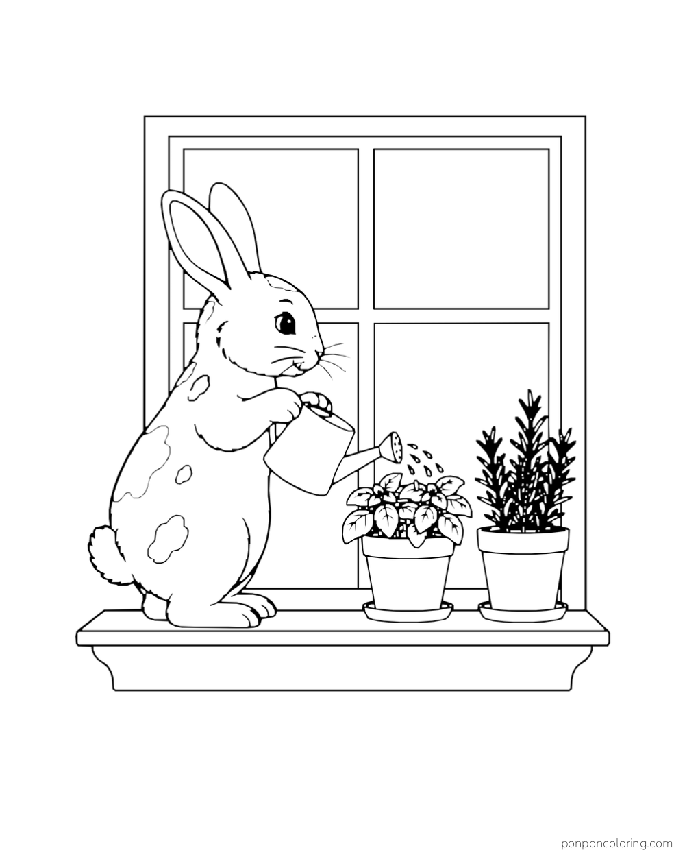 A rabbit waters two potted plants on a windowsill.