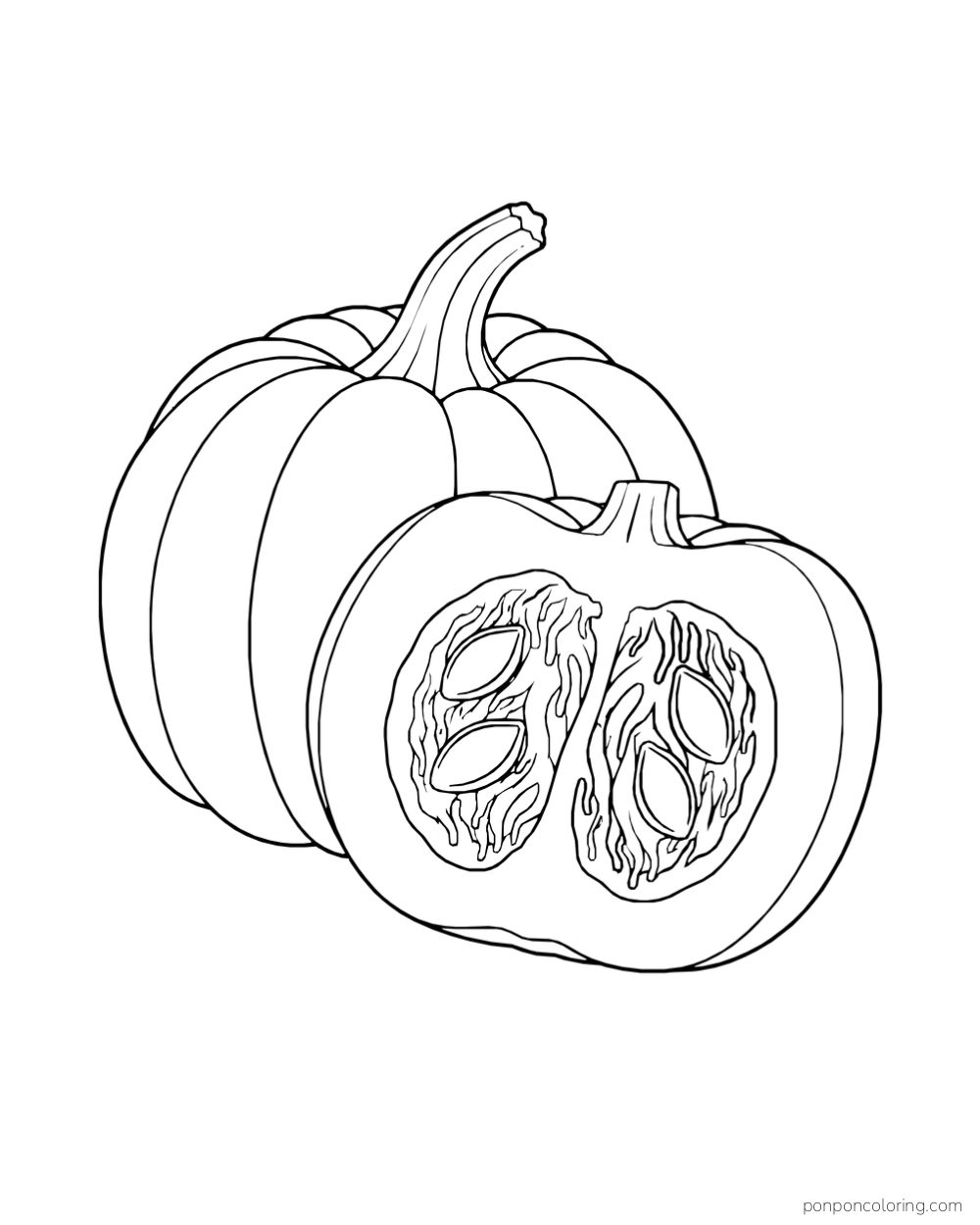 A whole pumpkin behind a cut half with large seeds and a thick outer rim of flesh.