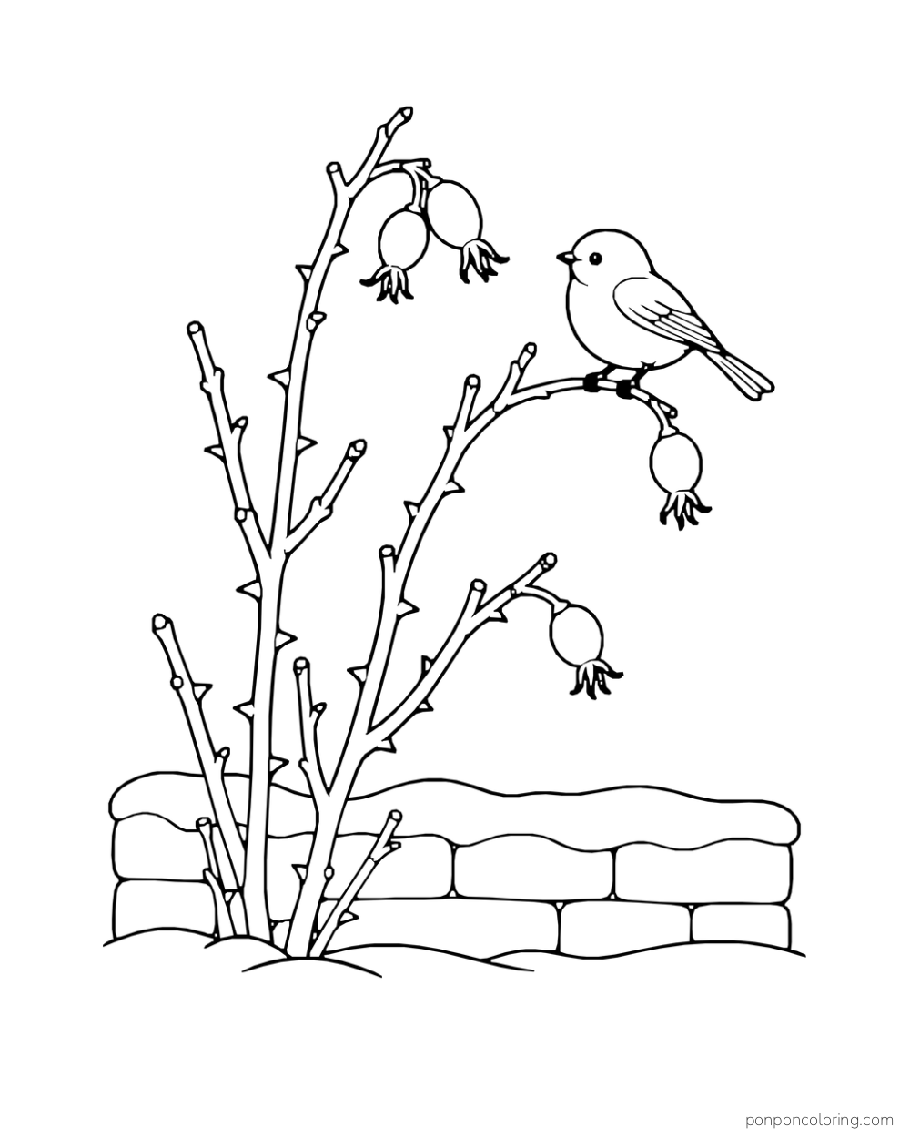 Little bird on a bare rose cane with hips above a low snow-topped wall.