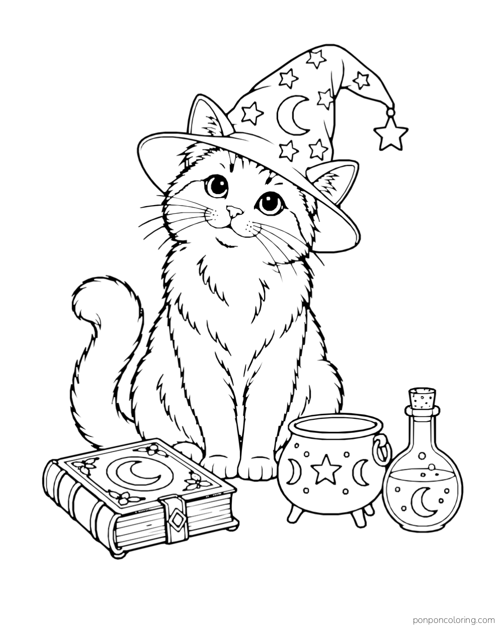 A cat wears a moon-and-star wizard hat beside a closed spellbook, small cauldron, and potion bottle.