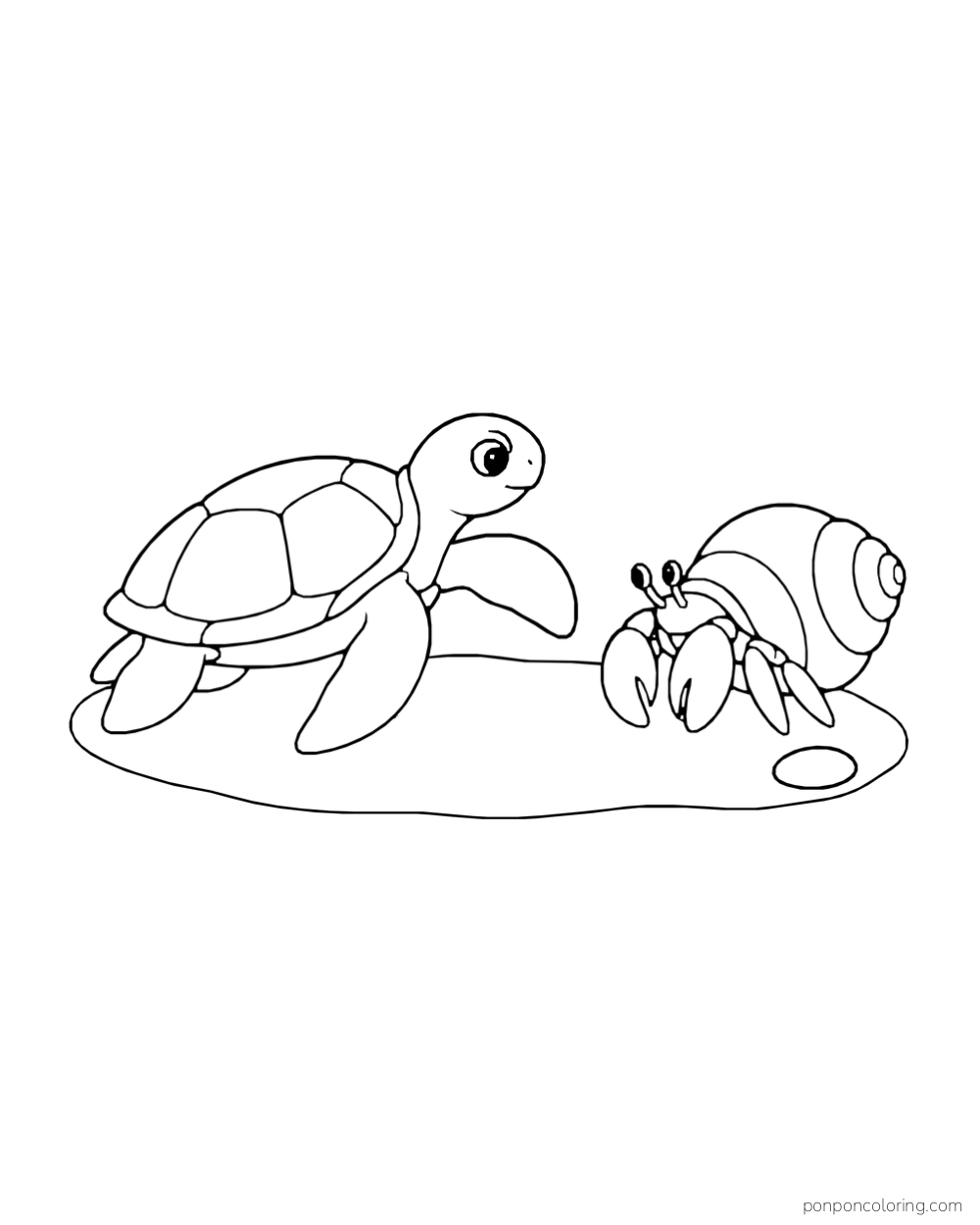 A young sea turtle faces a hermit crab with a spiral shell on a low sand patch.