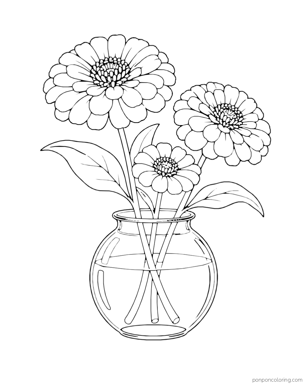 Three layered zinnia flowers stand in a round glass vase with their stems visible through the water.
